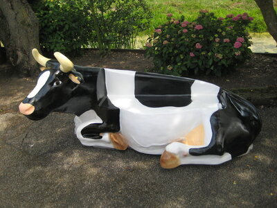 Koebank zwartbont 240 cm