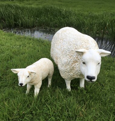 Texels Schaap Staand - met lam levensgroot Texelaar