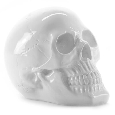 Skull -wit- schedel Large