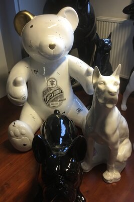 Teddy beer XXL wit uniek beeld limited edition