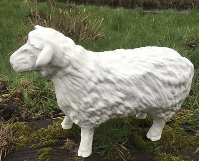 schaap beeld polyester beeld