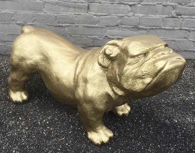 engelse bull dog bulldog buldog Ceasar polyester kunst goud
