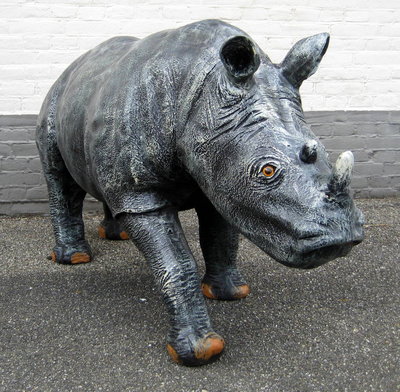 neushoorn  Rhino **