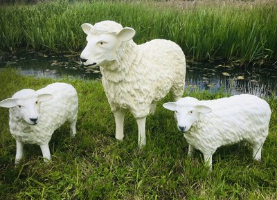 schaap kudde set van 3 polystone tuinbeelden