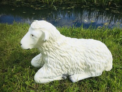 Schaap Beeld Polyester Liggend