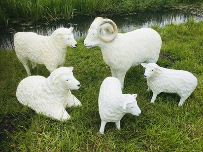 schaap kudde set van 5 polystone tuinbeelden