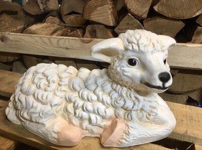 Schaap lam liggend