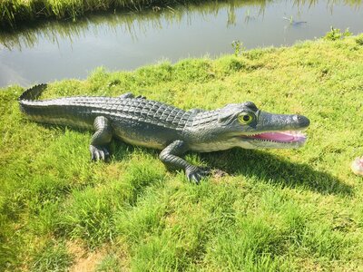 Krokodil polyester 315cm natuur xxl