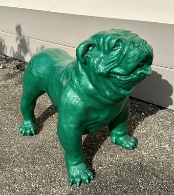 Engelse Bulldog - Spike Rolex groen