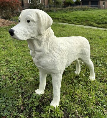 Labrador  staand polyester blond