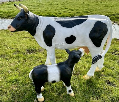 Koe Grietje  met kalf Bauke  zwartbont