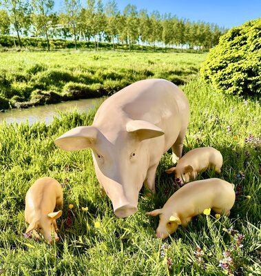 Varken SET van 4 stuks- zeug met drie biggen