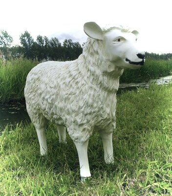 schaap polystone tuinbeeld 80 cm