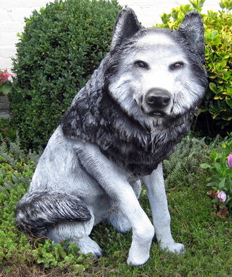 Wolf hond zittend beeld polyester