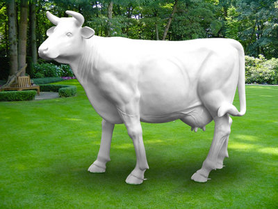 Koe beeld polyester Levensgrote koe - wit