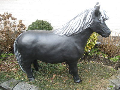 Shetland pony - zwart