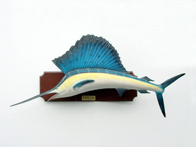 Sail Fish  Beeld Blue Marlin 155cm