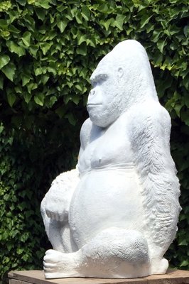 Aap Gorilla  polyester beeld wit