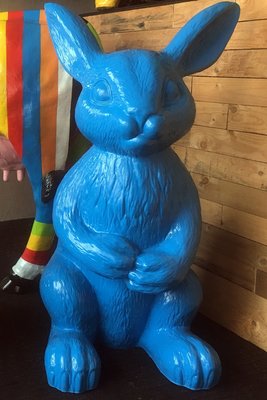 Haas XL 118 cm polyester blauw