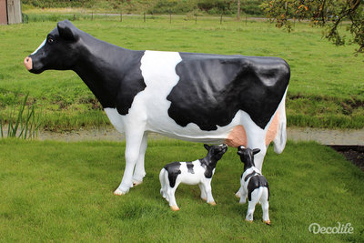 Holstein Friesian  koe 270cm zwart bonte koe -