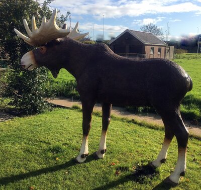 Eland Beeld Life Size 245cm polyester