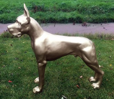 Duitse (Deense) dog beeld -kunsthars - hoogglans goud 125cm