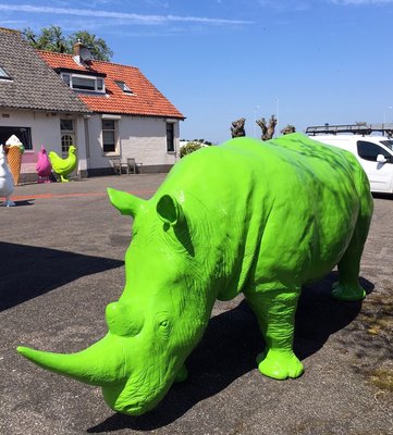 neushoorn Rhinoceros beeld polyester levensgroot kunstbeeld