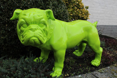 engelse bulldog halsband polyester beeld groen hoogglans -hond