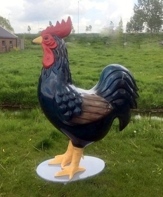 Mega Haan - barnevelder  - deluxe op sokkel