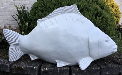 ontmoeten advies Afvoer spiegel karper vis polyester beeld - Decolife - Dé polyesterbeelden en  decoratie webshop