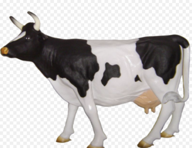 Levensgroot koe beeld - Dé polyesterbeelden en decoratie webshop