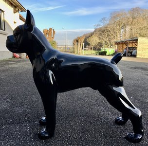 DOLCE \u0026 GABBANA BOXER ZWART