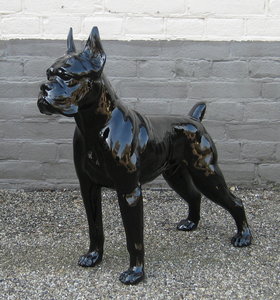 Dames naadloos boxer zwart - Wibra - Dat doe je goed.