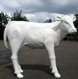 hebben Wrijven Mammoet Levensgroot koe kalf - wit grondlak om eenvoudig te beschilderen - Decolife  - Dé polyesterbeelden en decoratie webshop